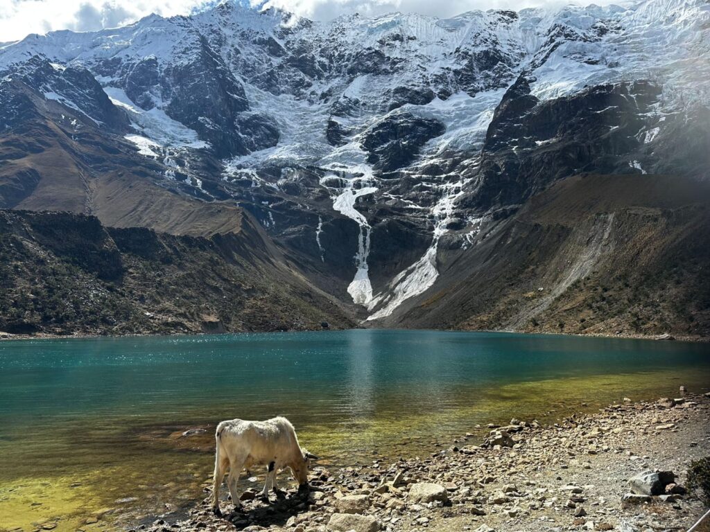 WhatsApp Image 2023-08-29 at 8.36.41 AM (2)