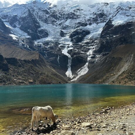 WhatsApp Image 2023-08-29 at 8.36.41 AM (2)