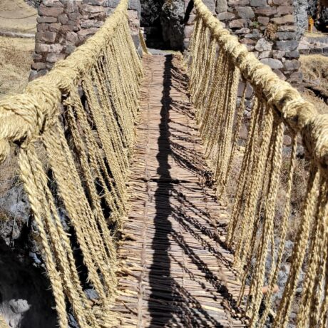 WhatsApp Image 2023-08-29 at 8.36.41 AM