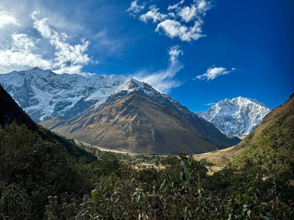 WhatsApp Image 2023-08-29 at 8.36.42 AM (1)