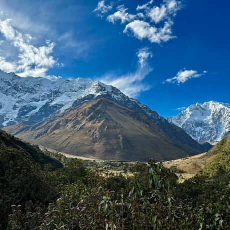 WhatsApp Image 2023-08-29 at 8.36.42 AM (1)