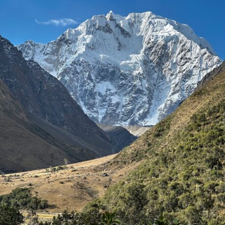 WhatsApp Image 2023-08-29 at 8.36.42 AM (2)